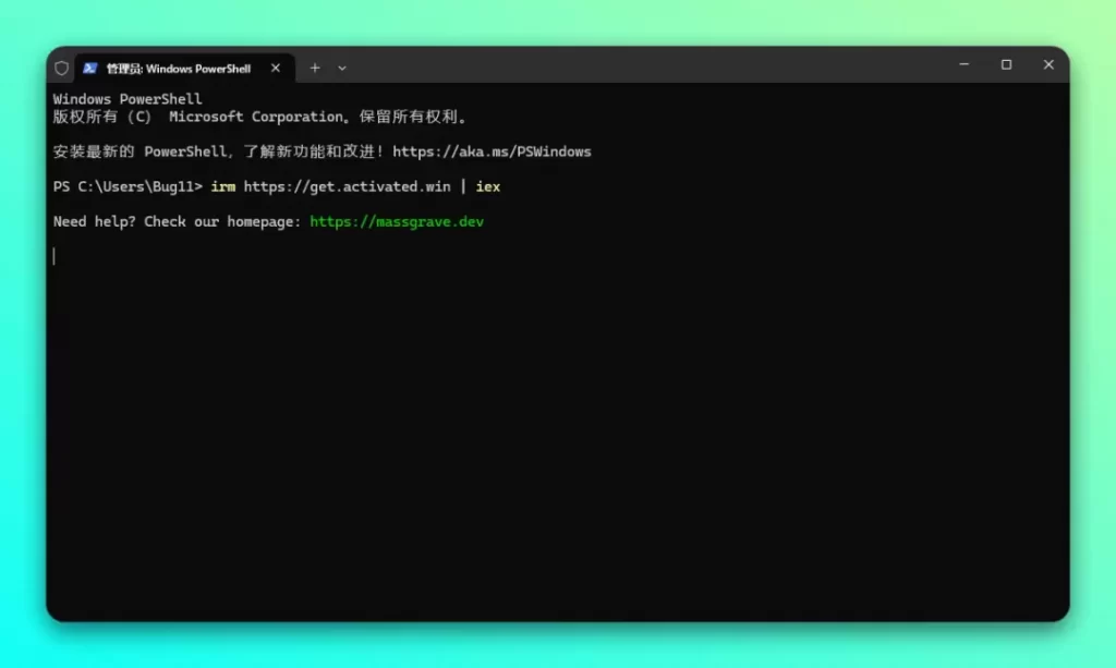 图片[4]-Win10 正式停服！如何白嫖附加入安全更新计划教程-无名大叔