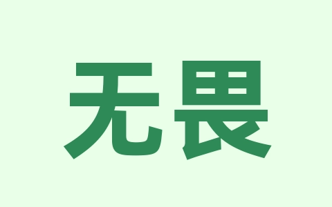无畏契约Alt+Z没反应怎么办?NVIDIA App游戏内覆盖层打不开解决方法-无名大叔